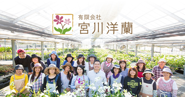 育て方 Q A 有限会社 宮川洋蘭